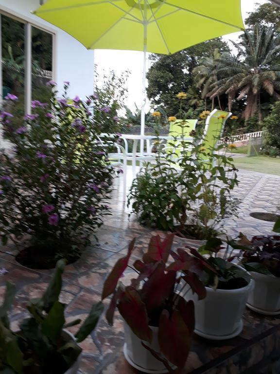 Loversnest Self Catering Anse aux Pins Екстер'єр фото